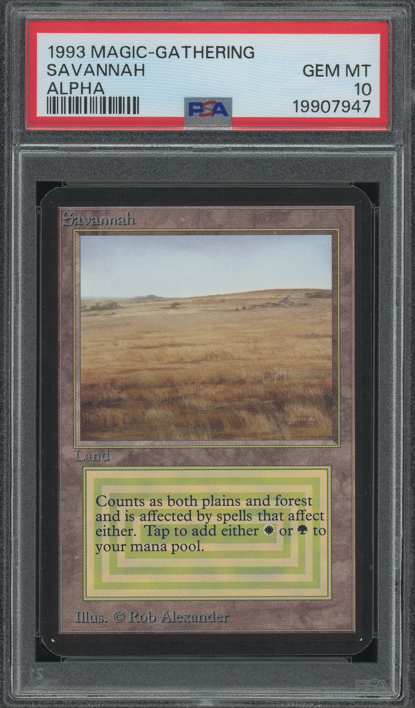 Savannah - Alpha PSA 10 - 19907947